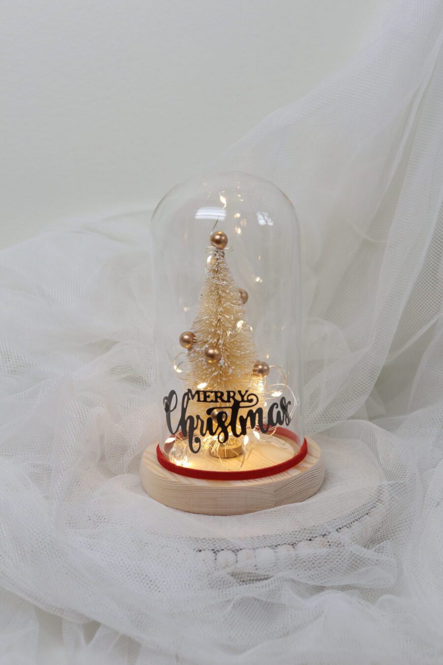Christmas Glass Dome Gift