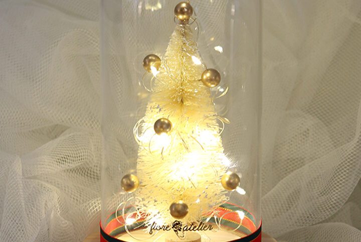 Christmas Glass Dome Gift