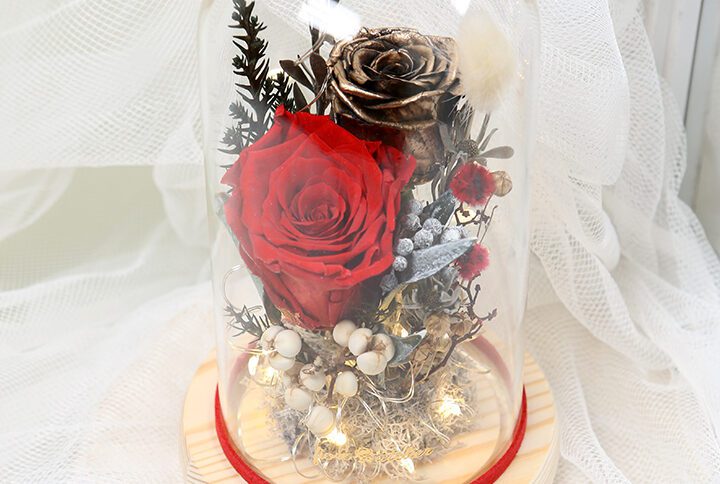 Handmade Glass dome , special gift with red rose flower