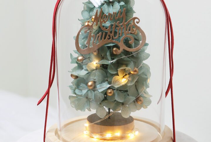 Christmas Gift glassdome made with preserved hydrangea flower
