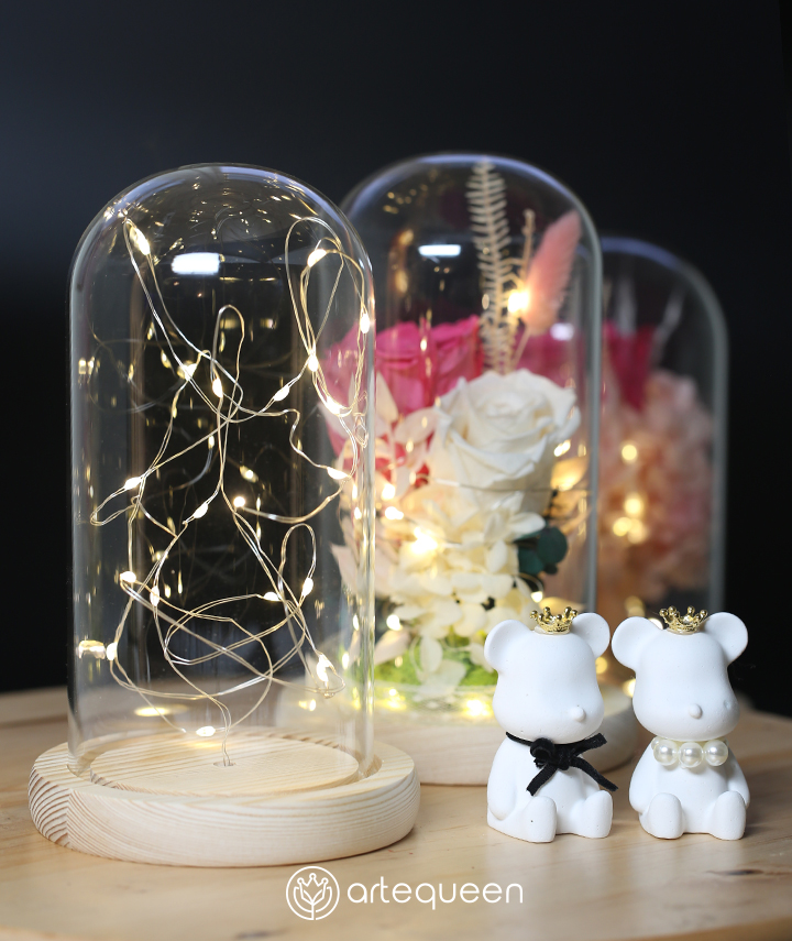 DIY do it yourself LED Glass dome