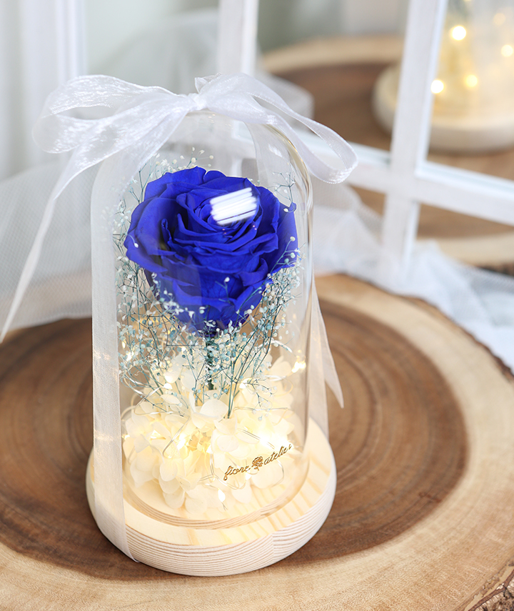 artequeen_blue-single-rose-flower-glass-dome04