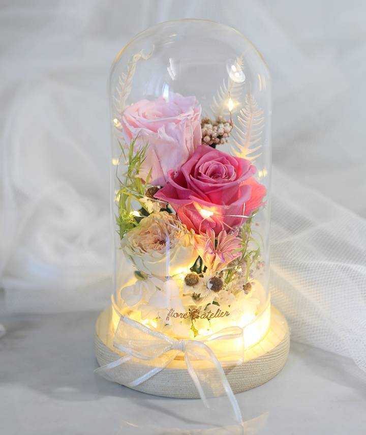 LED Glass Dome with Two pink color rose flower