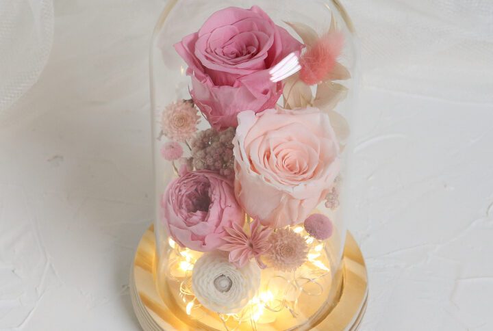 LED Glass Dome with pink trio naturally preserved flower