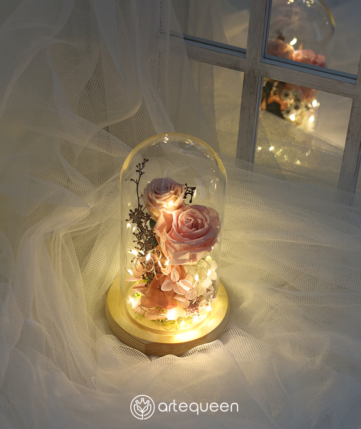 LED Glass Dome with two pink naturally preserved rose