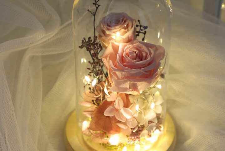 LED Glass Dome with two pink naturally preserved rose