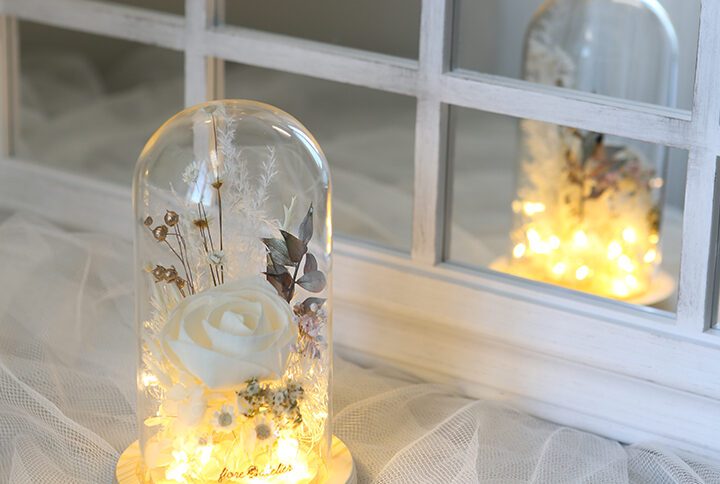 LED Glass Dome with white sola naturally preserved flower