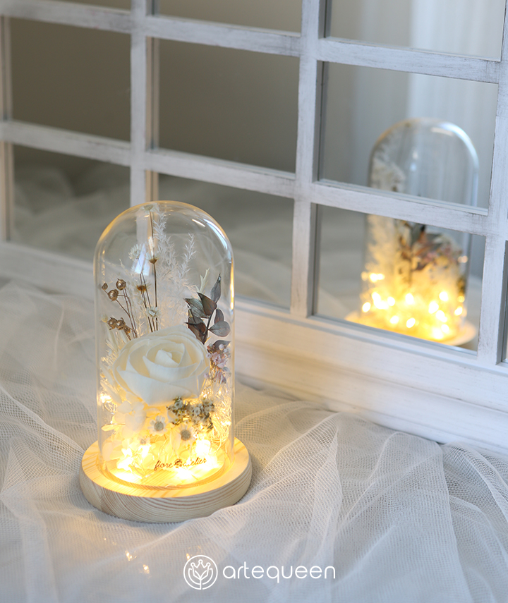 LED Glass Dome with white sola naturally preserved flower