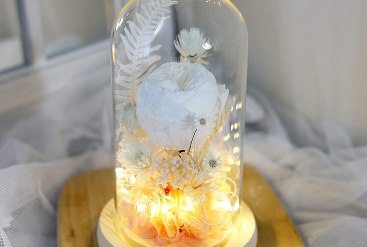LED Glass Dome with white garden rose preserved flower